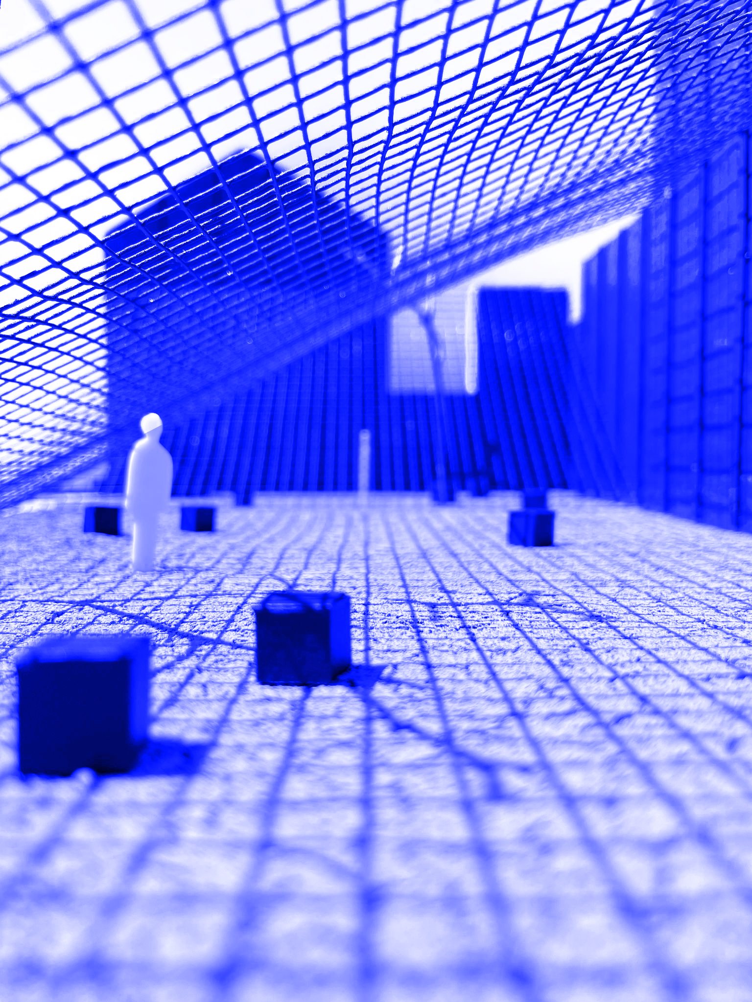Afbeelding 3